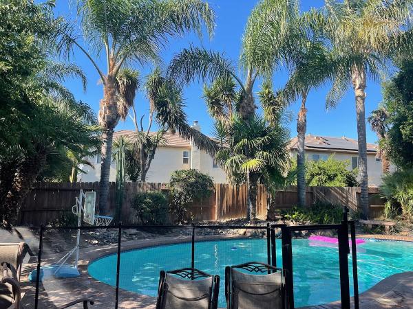 LS Landscaping and Tree Care