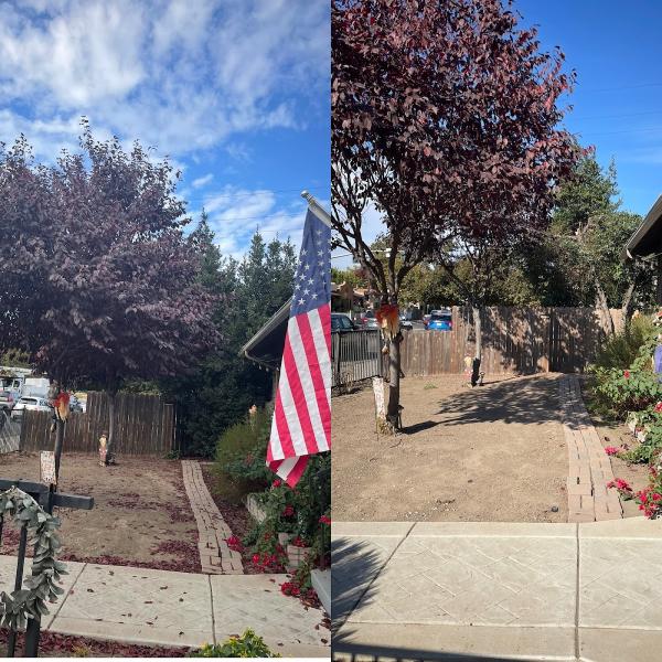 LS Landscaping and Tree Care