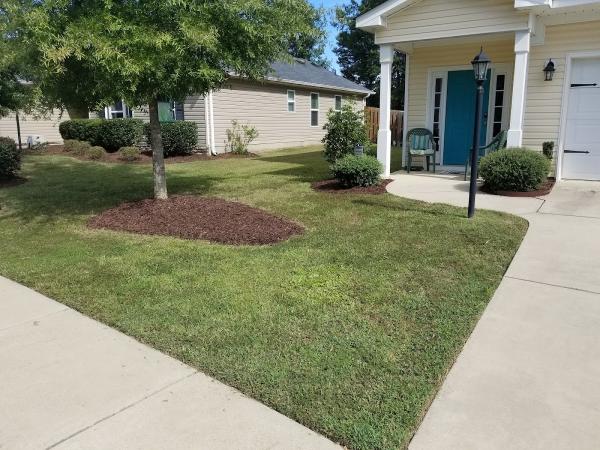 Easy Button Lawn Service
