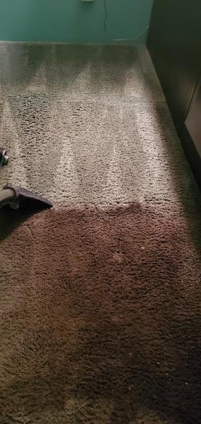 Eco Friendly Carpet Cleaning