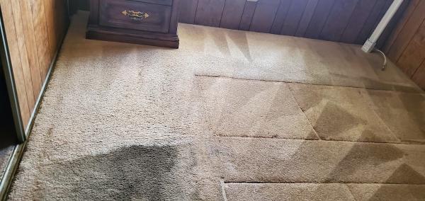 Eco Friendly Carpet Cleaning