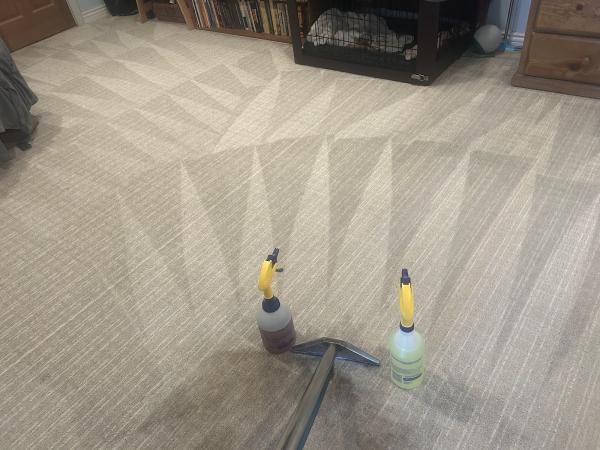 Eco Friendly Carpet Cleaning