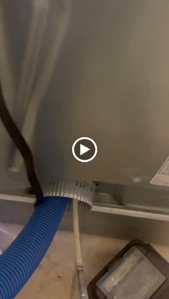 Eco Friendly Carpet Cleaning