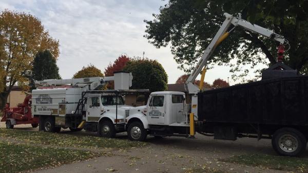 Rod Meek Top Notch Tree Care