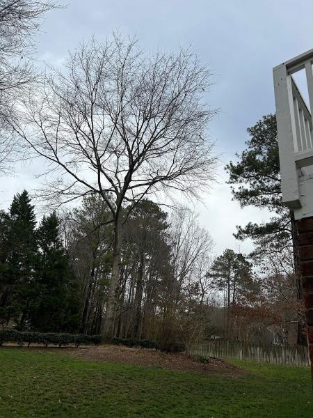 Lineberger's Tree Services Inc
