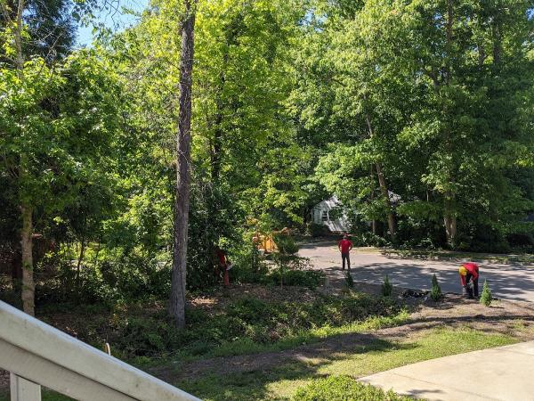 Lineberger's Tree Services Inc