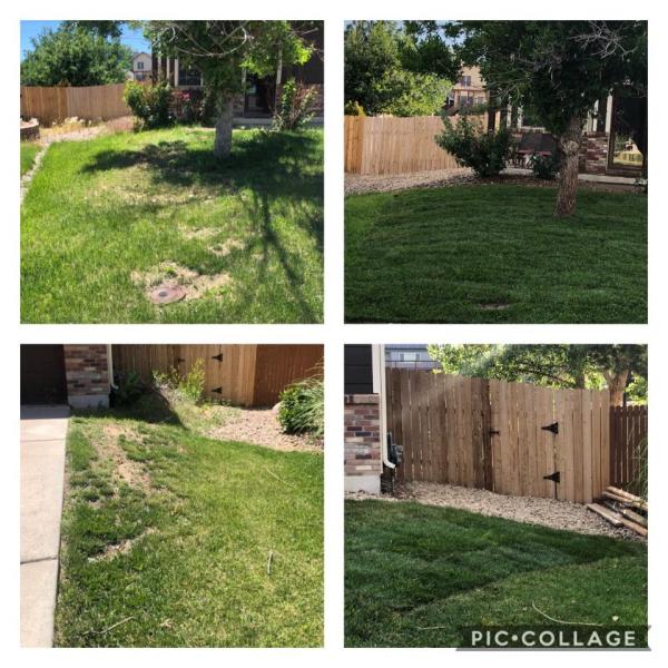 Sunshine Landscaping LLC
