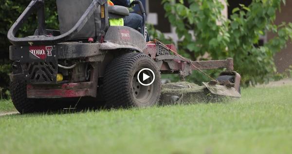 No Limit Lawncare & Pressure Washing LLC