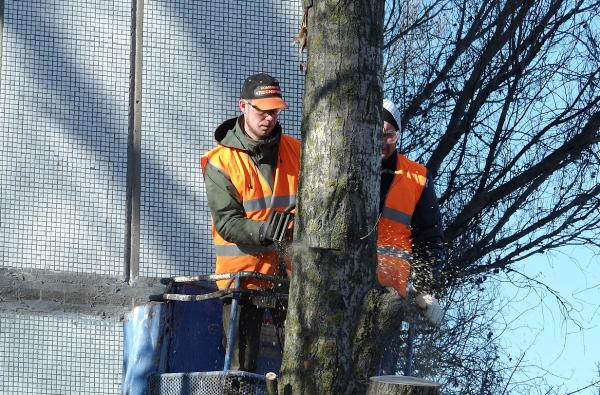 Fayetteville Tree Care Services
