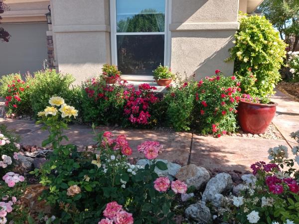 Perfection Landscaping Services