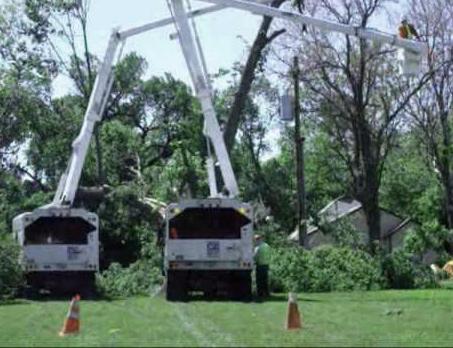 Allied Tree Experts