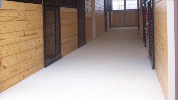 Bill Potter Concrete Contractor LLC