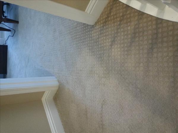 Dave's Carpet Service
