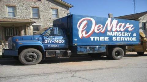 Demar Tree Service & Landscaping