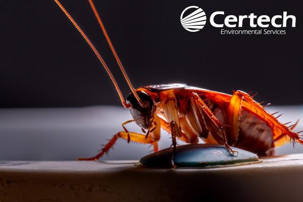 Certech Environmental Services