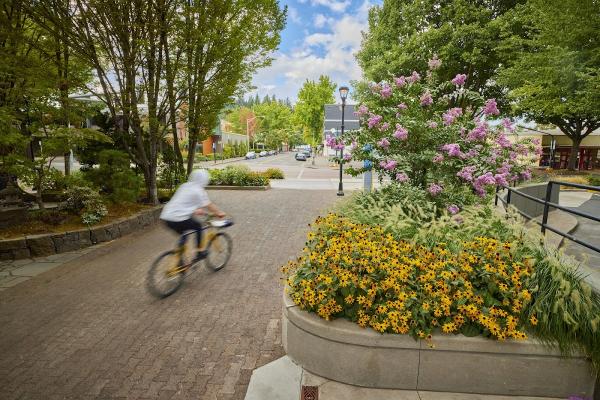 Dougherty Landscape Architects