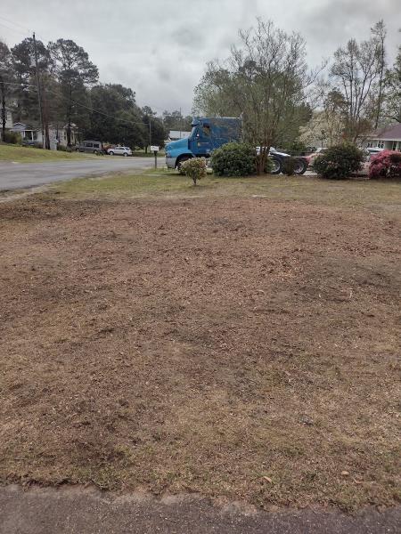 Bartolome's Tree Service