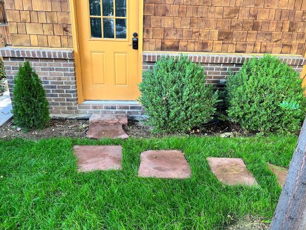 El Paraiso Landscaping