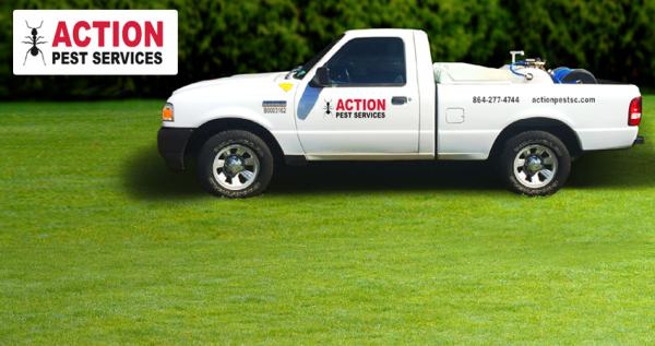 Action Pest Services