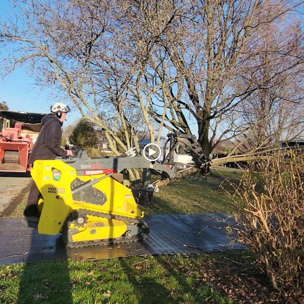 Belle Ridge Tree Service LTD