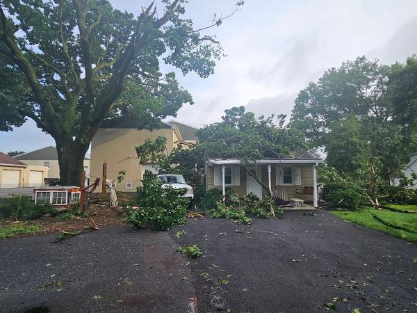 Belle Ridge Tree Service LTD