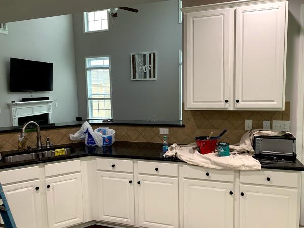 Trucoat Painting