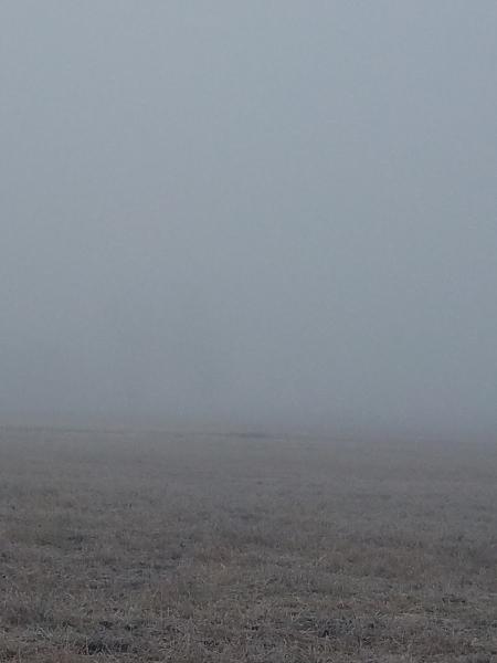 Roza Irrigation District