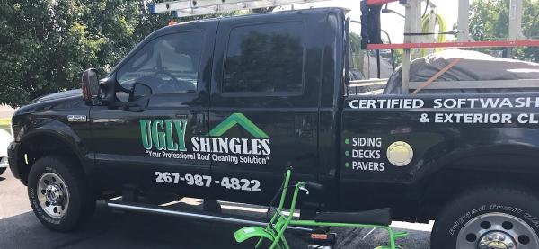 Ugly Shingles PA
