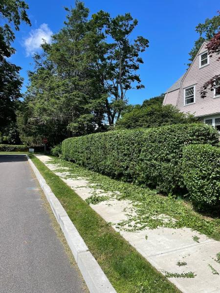 Frontline Lawn Services