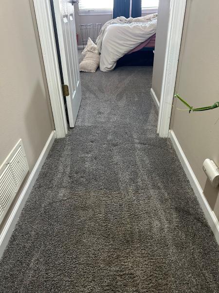 Maxcare Carpet Cleaning & Repair