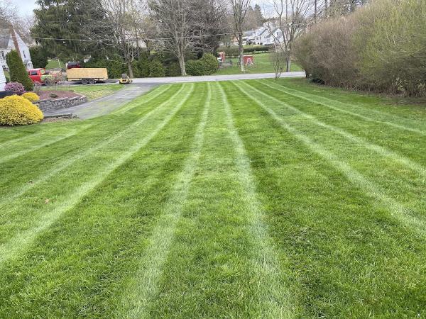 Reliable Lawn Care Services LLC