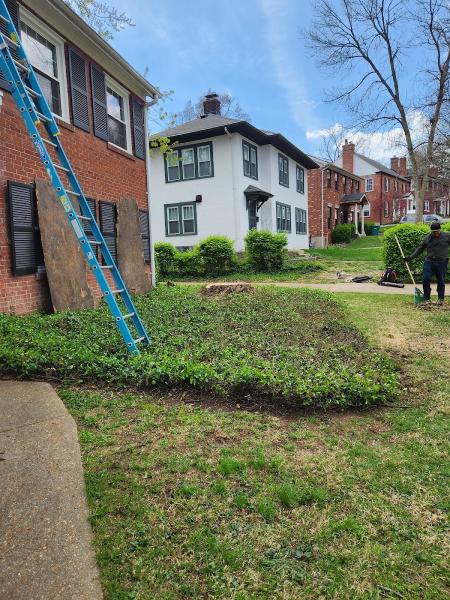 Kincade Tree Services