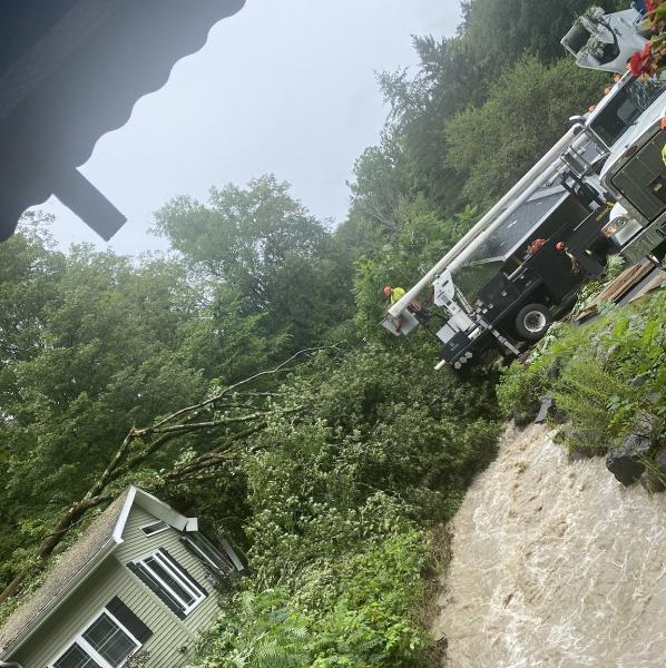 Rick Turk Tree Service