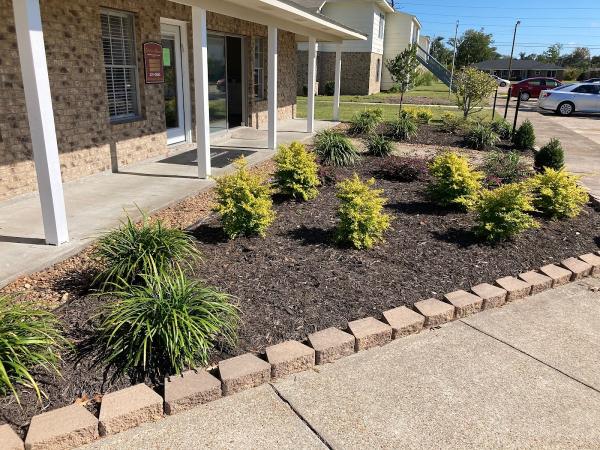 Proact Tree and Lawn Solutions