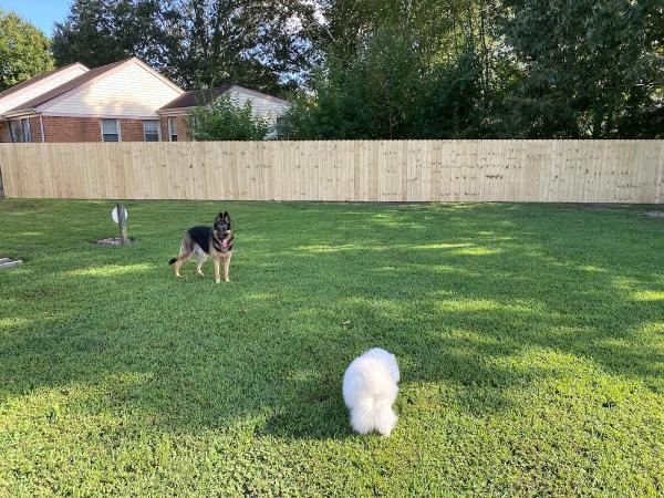 J & G Fence and Deck