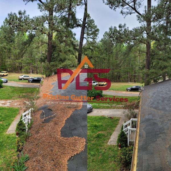 Pristine Gutter Services LLC