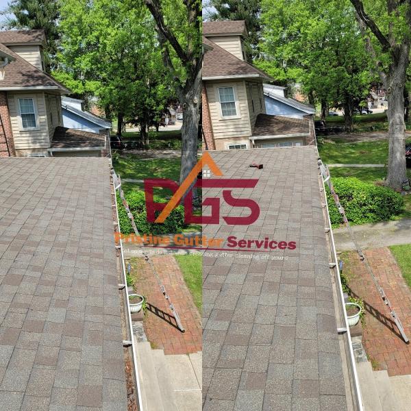 Pristine Gutter Services LLC