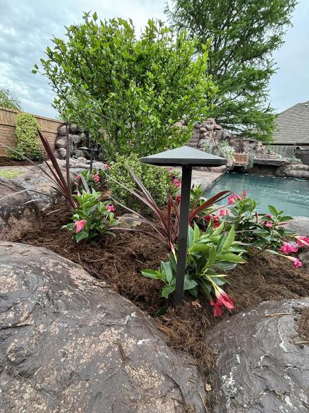 C&C Tree and Landscaping Solutions