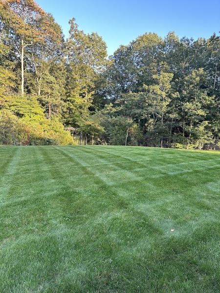 Velvet Green Organic Lawn Care