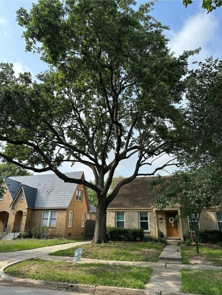 Treepro