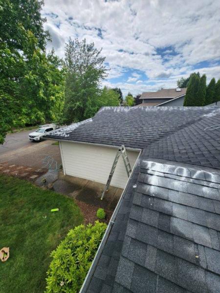 Curb Appeal Pressure Washing