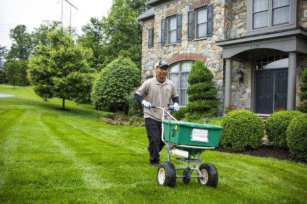 Kingstowne Lawn & Landscape