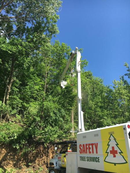 Safety Tree Service