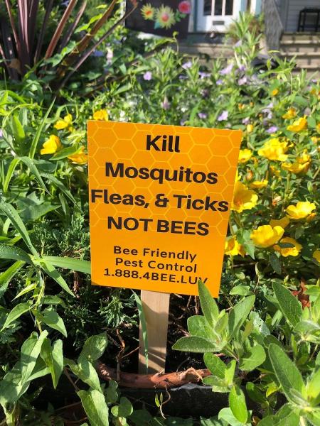 Bee Friendly Pest Control