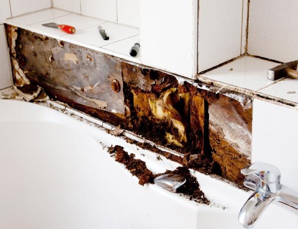Tucson Mold Removal Pros