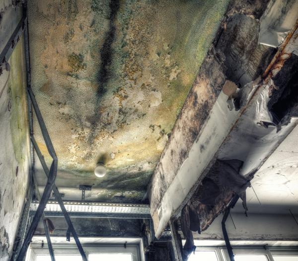 Tucson Mold Removal Pros