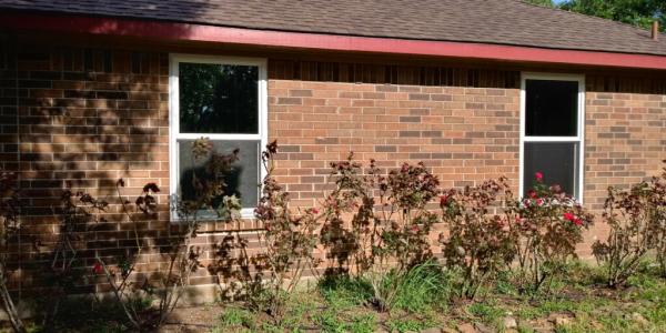 America's Choice Windows