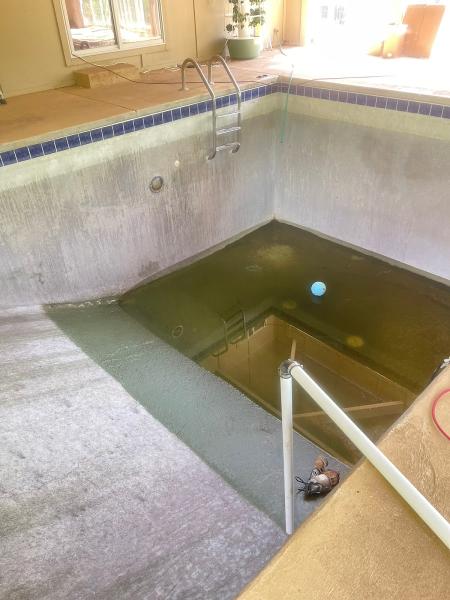Pool Dolphins Inc.