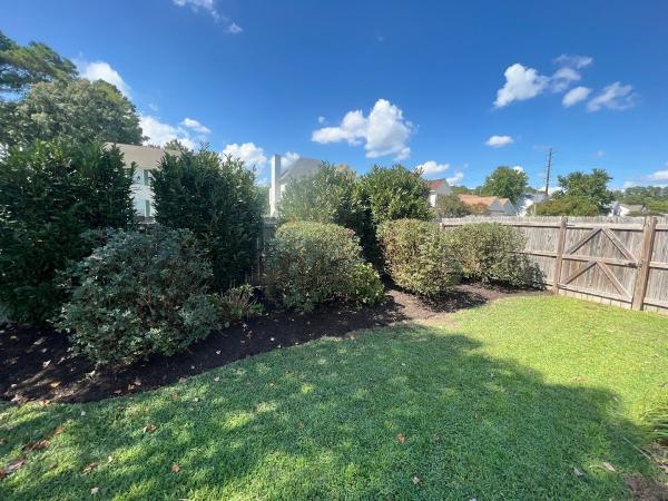 The Vine Landscaping