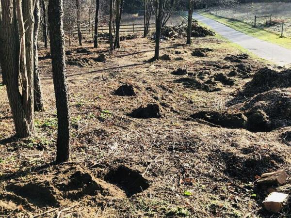 L&R Stump Grinding